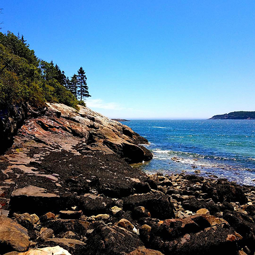Bright blue day at Bar Harbor