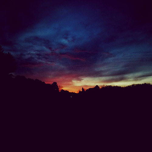 Ending sunset in forest clearing